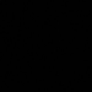 Meet your Posher, Nhi